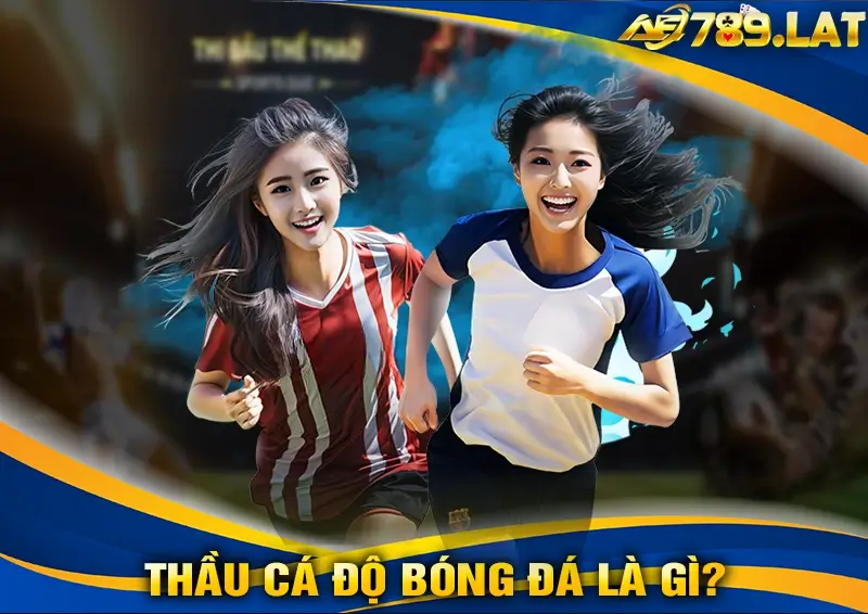 Thầu Cá Độ Bóng Đá Là Gì